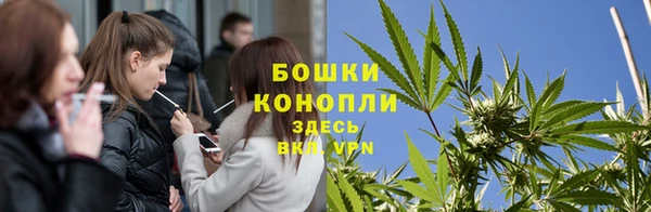 трава Арсеньев