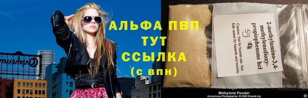 гашик Инсар
