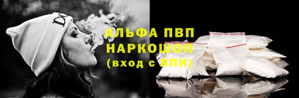 стафф Каменка