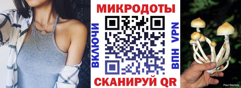 kraken ТОР Новый Уренгой Галлюциногенные грибы GOLDEN TEACHER где найти
