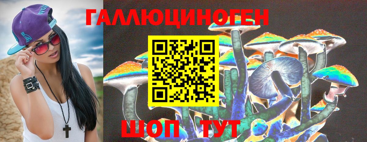 Галлюциногенные грибы MAGIC MUSHROOMS  где купить наркоту  Новый Уренгой  Галлюциногенные грибы мицелий  Вход с VPN 