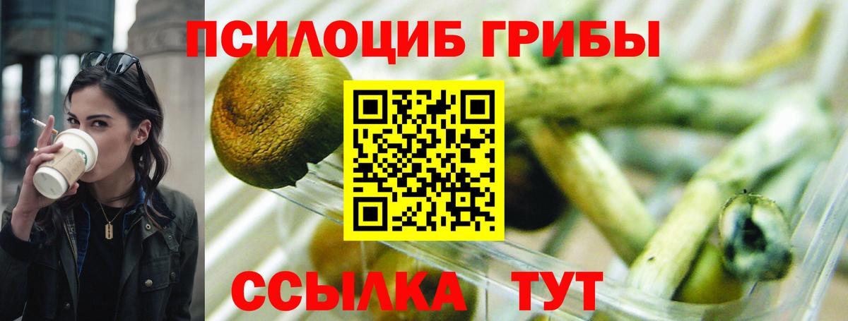 Псилоцибиновые грибы Cubensis Новый Уренгой